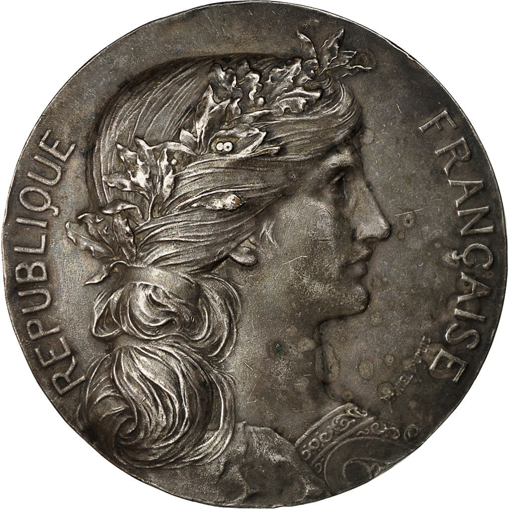 Algeria, medalla, Souvenir de la Grande Guerre, Arzew, 1919, Dupuis.D /
