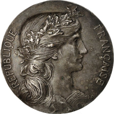 Algeria, medalla, Souvenir de la Grande Guerre, Arzew, 1919, Dupuis.D /