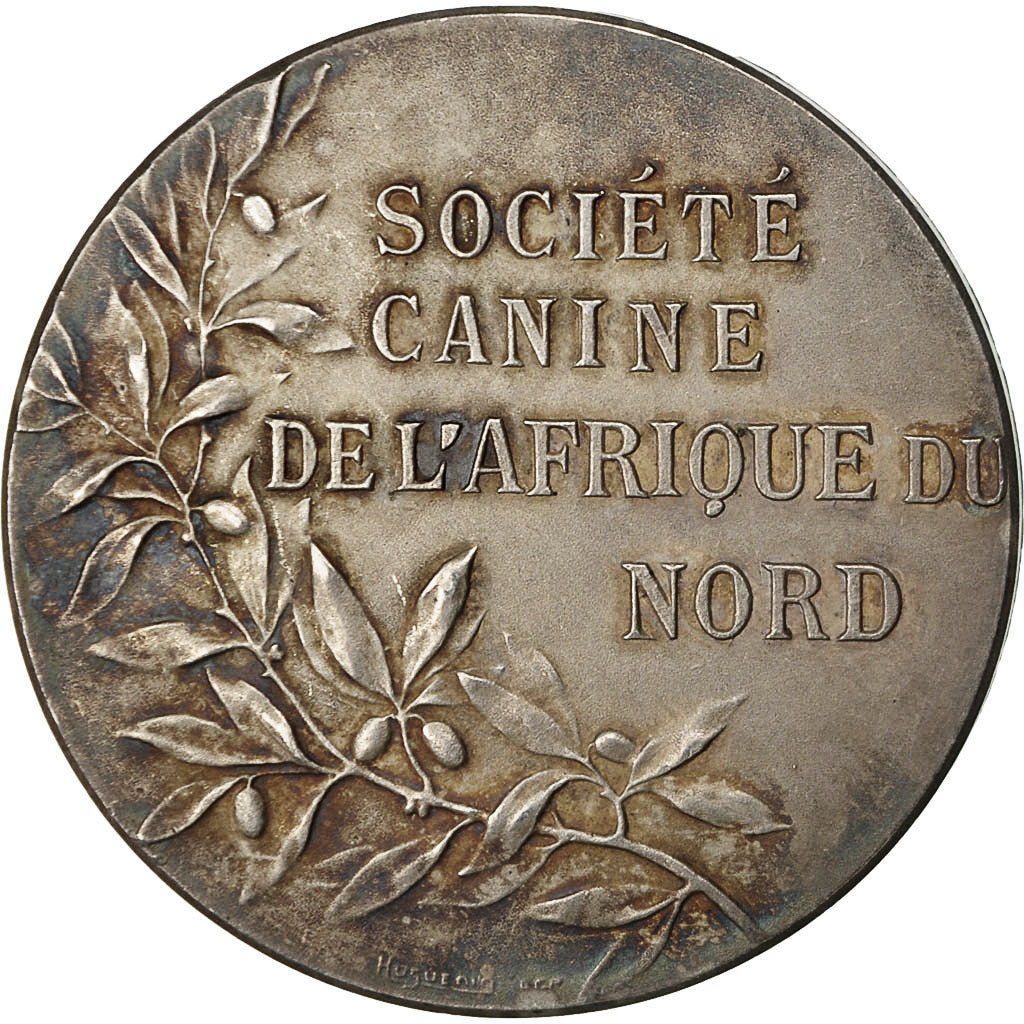 Algeria, medaglia, Société Canine de l'Afrique du Nord, Huguenin, BB+, Bronzo