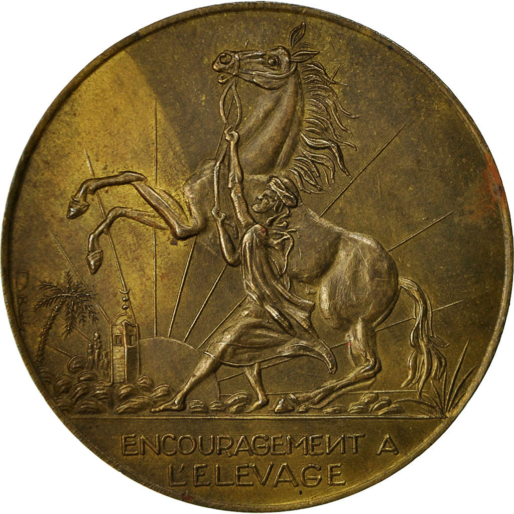 Algeria, Medal, Encouragement à l'Elevage, EF(40-45), Bronze