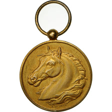 Algerije, Medaille, SPA de Constantine, Desaide, ZF+, Vermeil