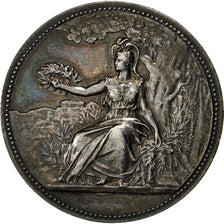 Algeria, Medal, Concours Régional de Constantine, 1896, AU(50-53), Silver