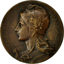 Frankrijk, Medaille, Ville de Nevers, Dénombrement, 1906, Rasumny, ZF, Bronze