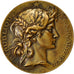 Frankreich, Medaille, Mr Fiquet, Sénateur de la Somme, Marianne, Bottée, SS+
