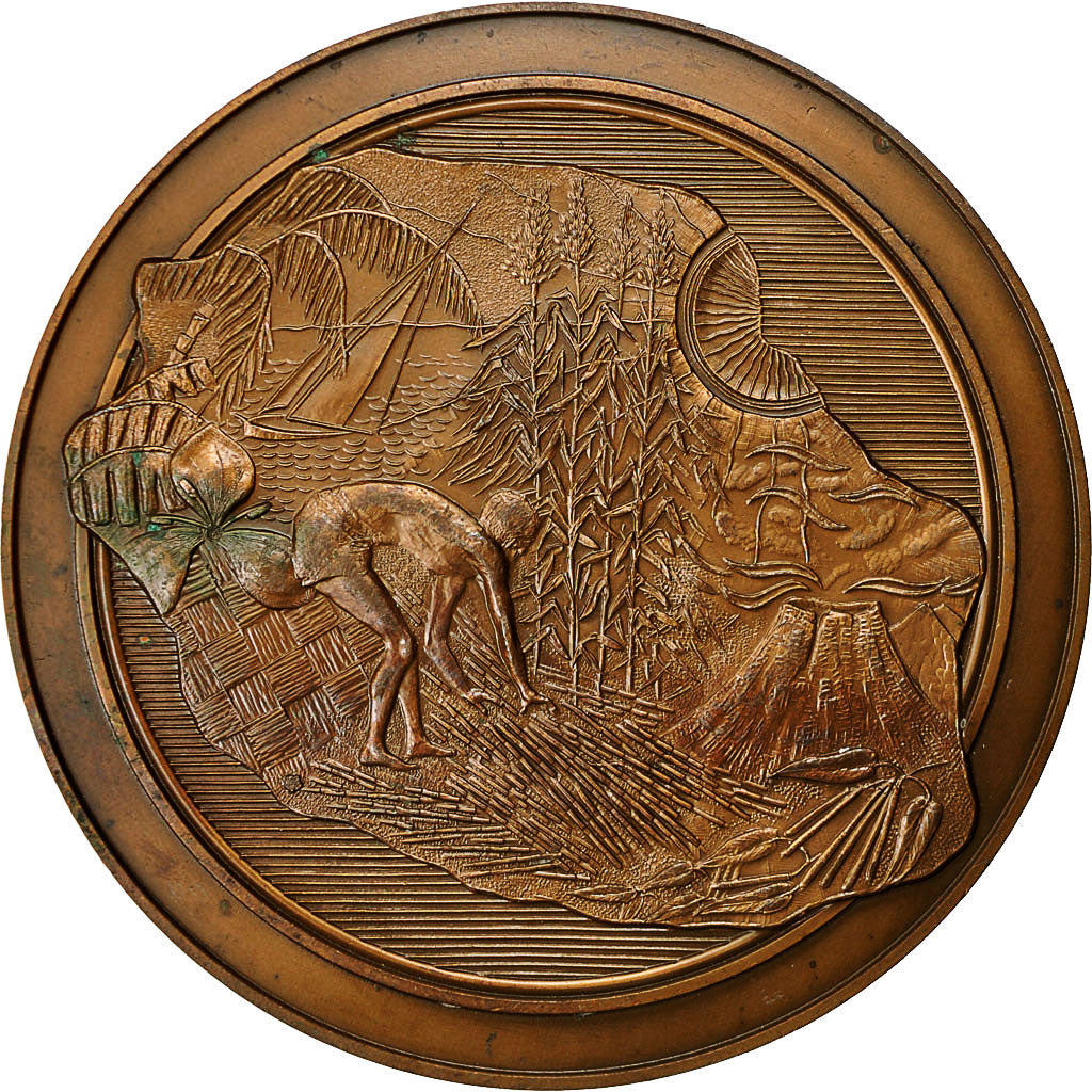 Frankreich, Medaille, Département de la Réunion, 1980, VZ, Bronze