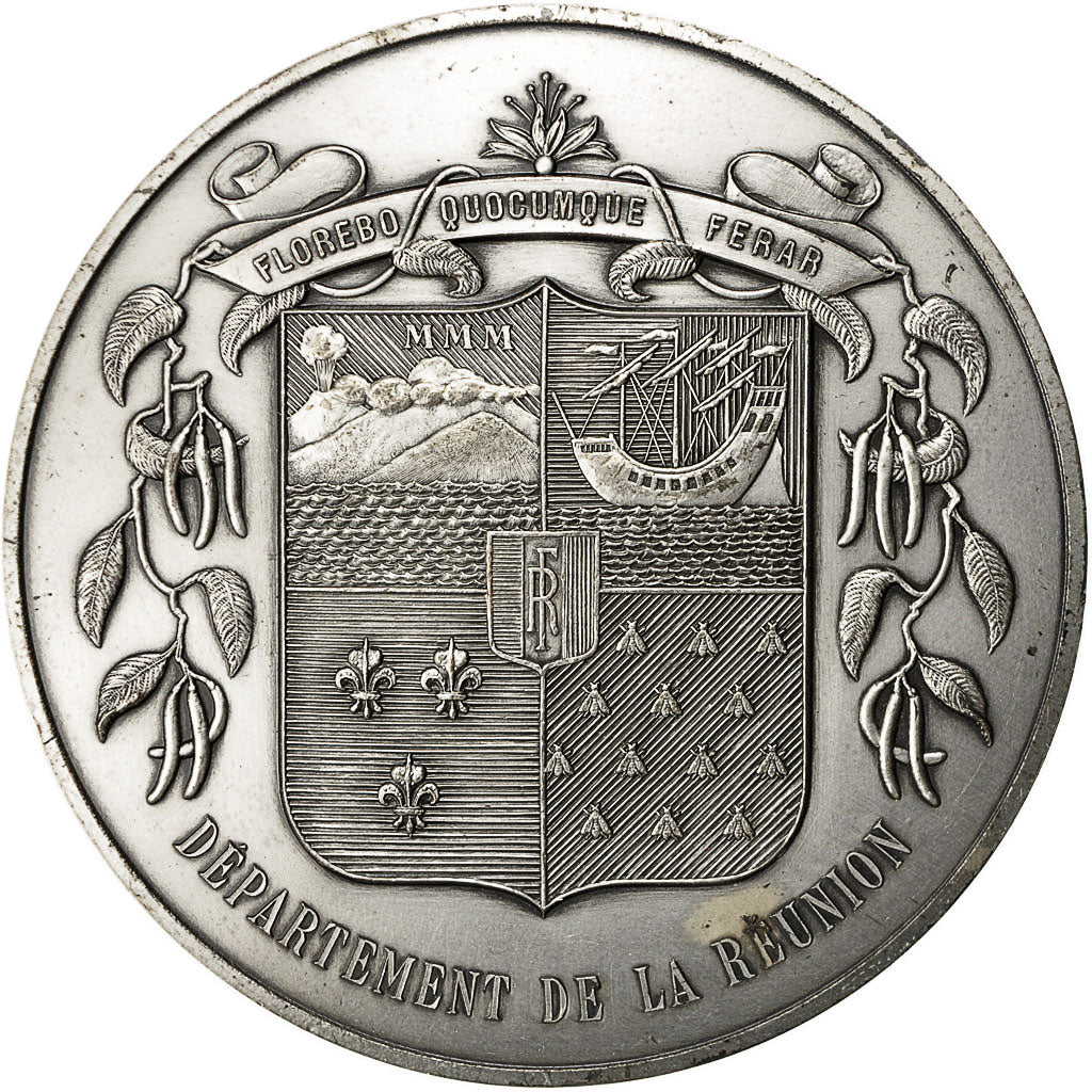 Francja, Medal, Département de la Réunion, 1980, AU(50-53), Brąz posrebrzany