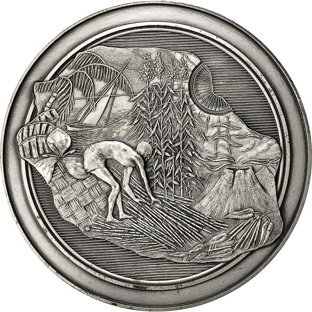 Francja, Medal, Département de la Réunion, 1980, AU(50-53), Brąz posrebrzany