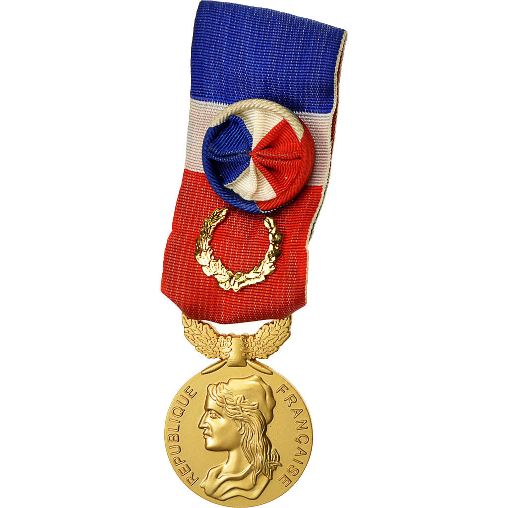 Francia, Médaille d'honneur du travail, medaglia, 2012, Eccellente qualità