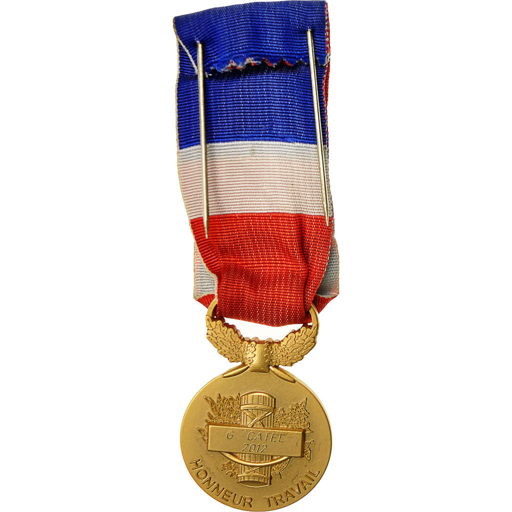 Francia, Médaille d'honneur du travail, medaglia, 2012, Eccellente qualità