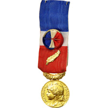 France, Médaille d'honneur du travail, Medal, 2008, Excellent Quality, Gilt