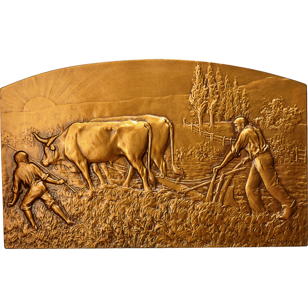 France, Medal, Agriculture, Paysans aux Champs, 1983, Coudray, MS(64), Bronze