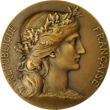 France, Médaille, Marianne, René Coty, Sénateur, Dupuis.D, SPL, Bronze