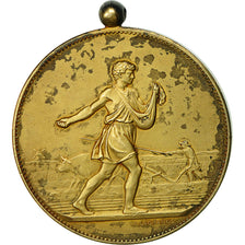 Francia, medaglia, Société d'Agriculture de l'Eure, Section de Bernay