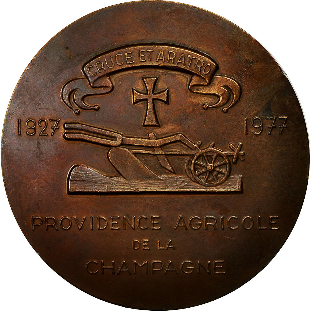 France, Medal, Gustave de Bohan, Champagne, 1977, Leognany, AU(55-58), Bronze