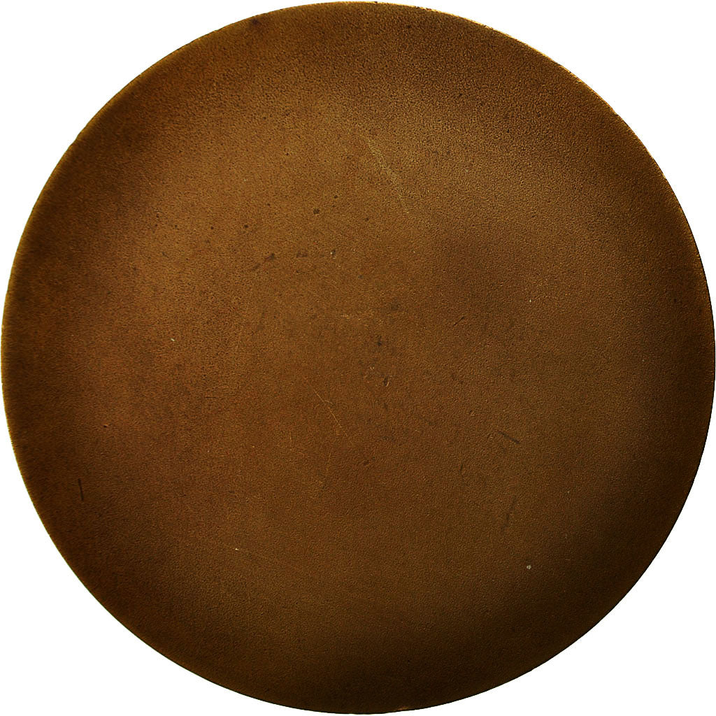 France, Medal, 2ème Régiment d'Infanterie de Marine, AU(55-58), Bronze