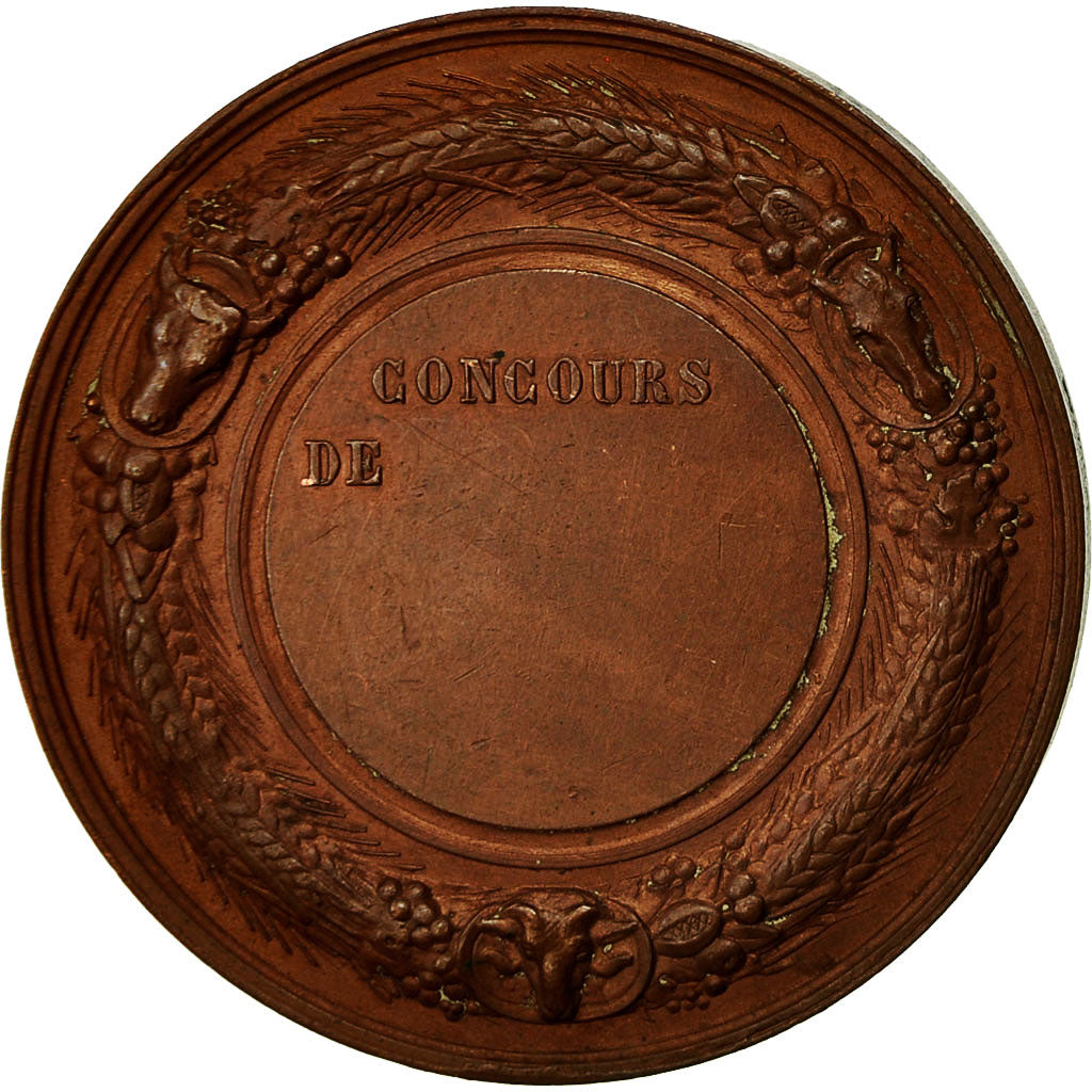 France, Médaille, Comice Agricole de Marle, Aisne, SUP+, Cuivre
