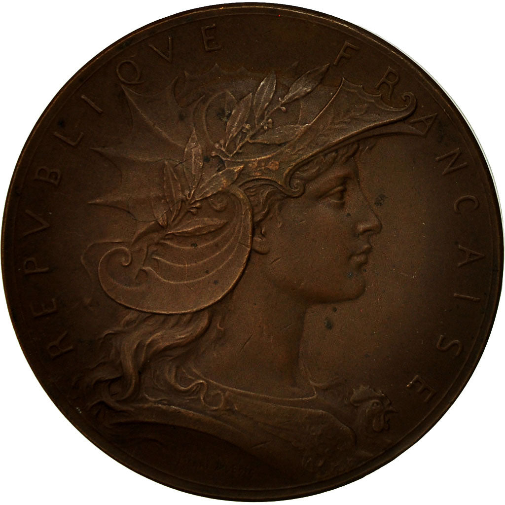 Francia, medalla, Ministère de la Guerre, Concours de Tir, 1896, Dubois.H, EBC