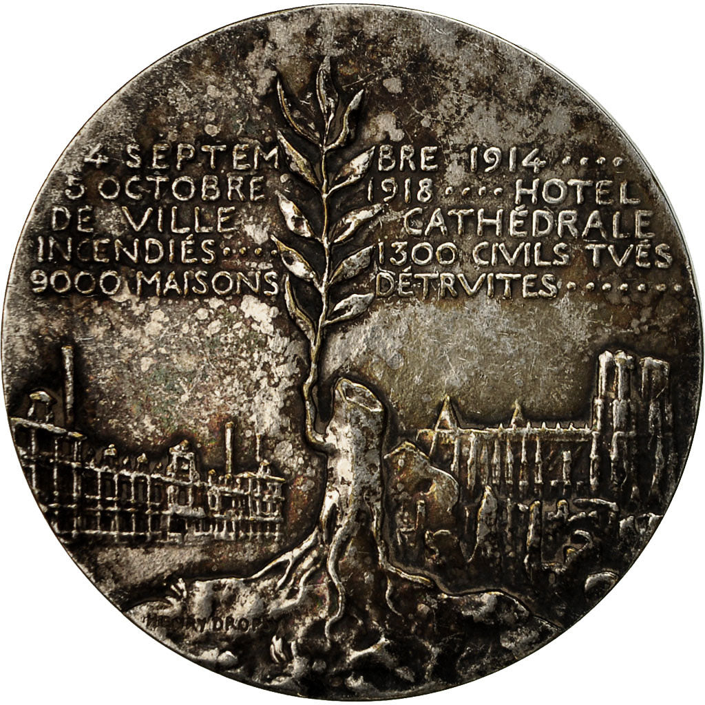 France, Medal, Brimont, Nogent, Reims, Dropsy, AU(50-53), Copper Plated Silver