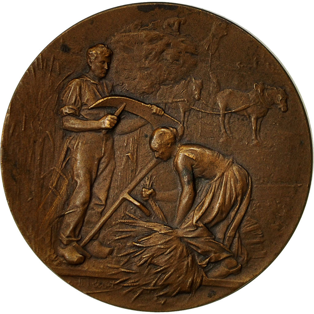 France, Medal, Comice Agricole de Laon, Rives, AU(55-58), Bronze