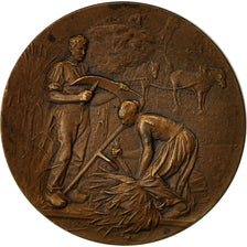 France, Medal, Comice Agricole de Laon, Rives, AU(55-58), Bronze