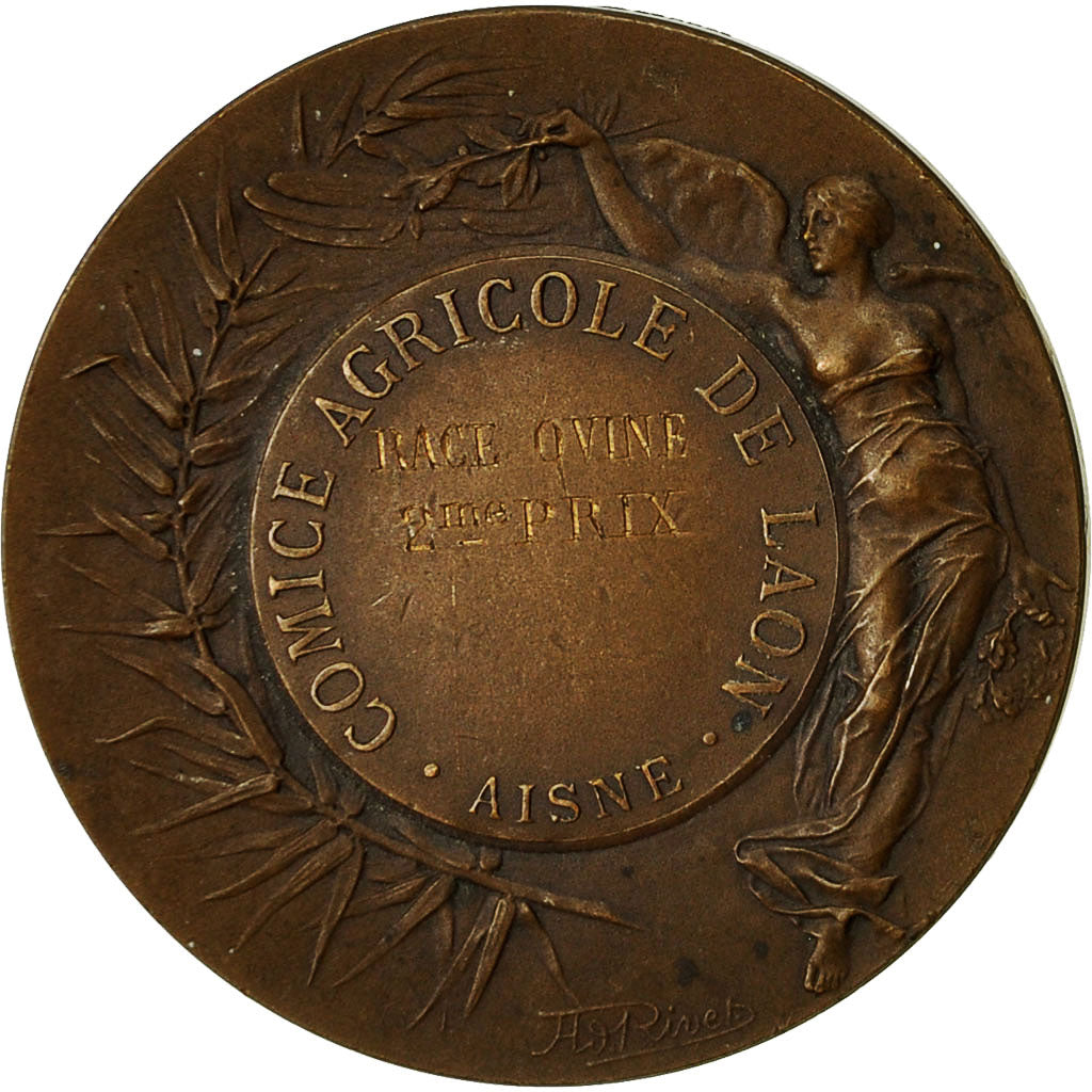 France, Medal, Comice Agricole de Laon, Rives, AU(55-58), Bronze