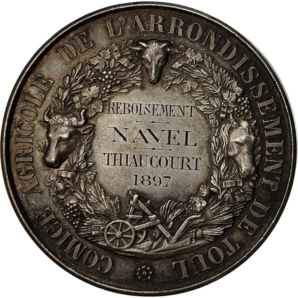 Frankreich, Medaille, Comice Agricole de L'Arrondissement de Toul, 1897, VZ+