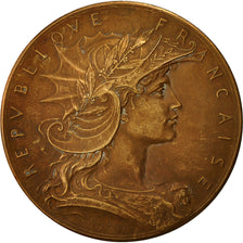Francia, medaglia, Ministère de la Guerre, Concours de Tir, Dubois.H, SPL-