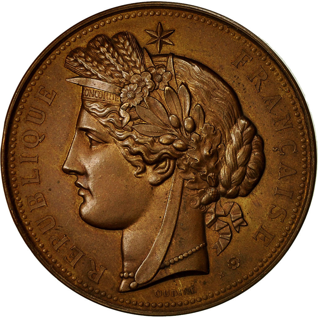 France, Medal, Exposition Universelle de Paris, Trocadéro, 1878, Oudiné
