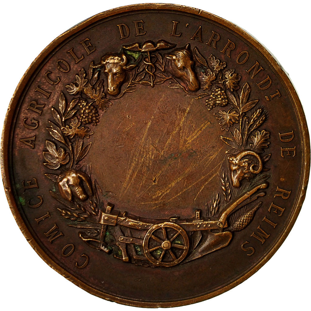 France, Medal, Olivier de Serres Seigneur du Pradel , Reims, Oudiné, AU(55-58)