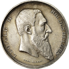 Belgique, Médaille, Léopold II, Conservatoire de Musique de Mons, 1902