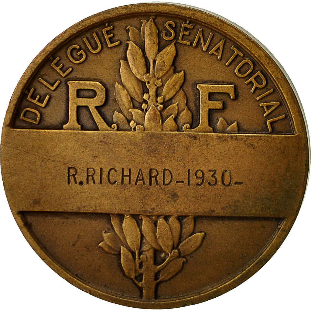 Francia, medalla, R.Richard, Délégué Sénatorial, 1930, Morlon, MBC+, Bronce