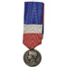 France, Ministère du Travail et de la Sécurité Sociale, Medal, 1955