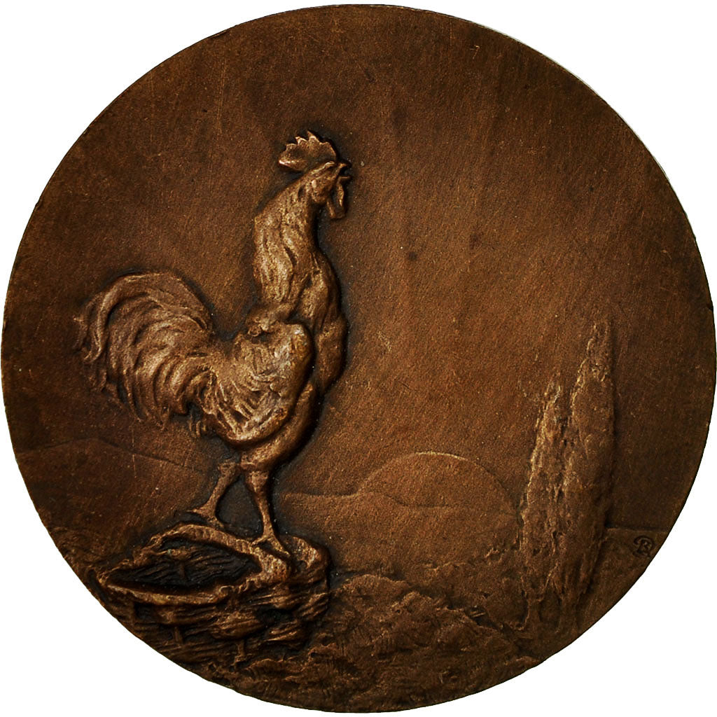 Francia, medaglia, Société des Aviculteurs Bourbonnais, Delamarre, SPL-