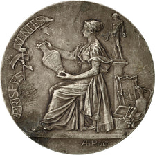 France, Medal, Centenaire des Commissaires-Priseurs, Seine, 1901, Rivet