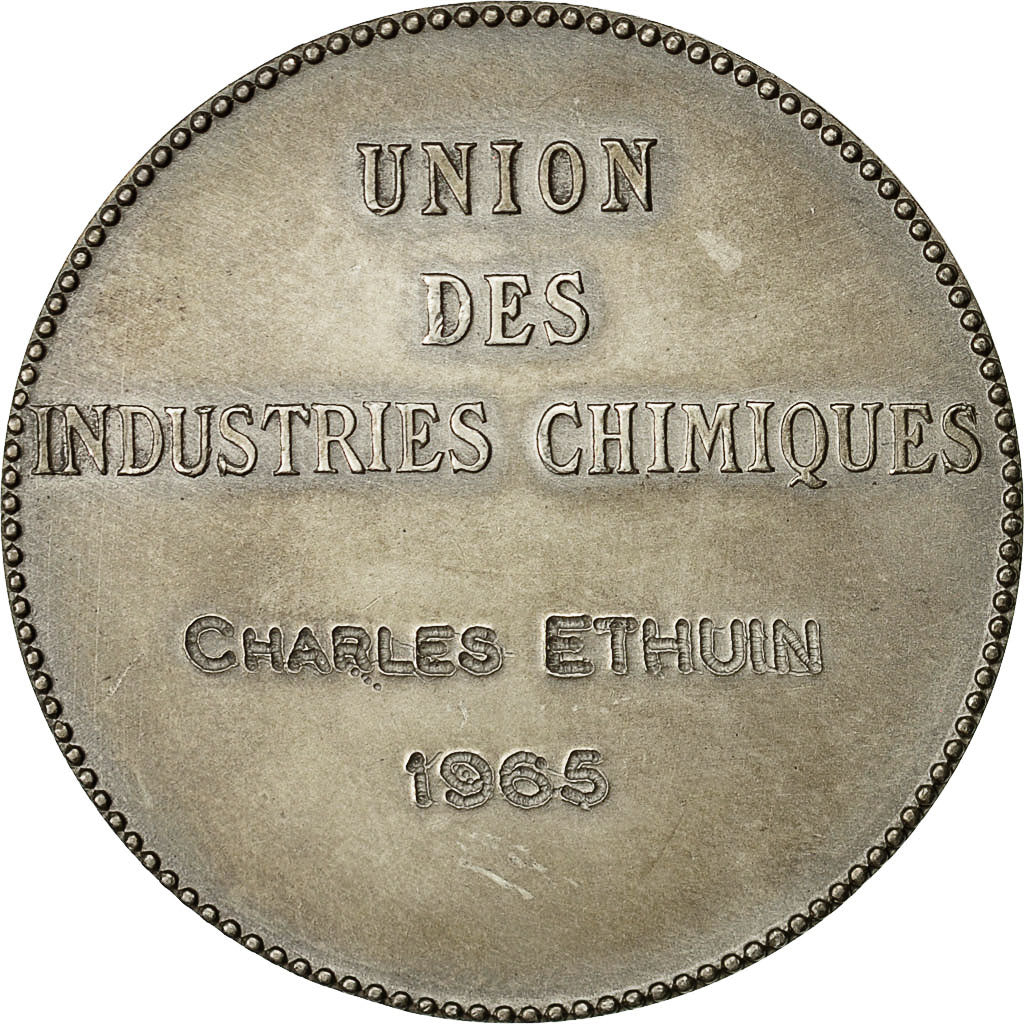 France, Medal, Union des Industries Chimiques, 1965, MS(60-62), Silver