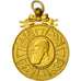 Belgio, Léopold II, medaglia, 1865-1905, Eccellente qualità, Bronzo dorato, 31