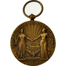 France, Medal, Sanatorium des Cheminots, 1936, MS(60-62), Bronze