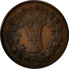 France, Médaille, Comice Agricole et Viticole d'Epernay, Marne, TTB+, Cuivre