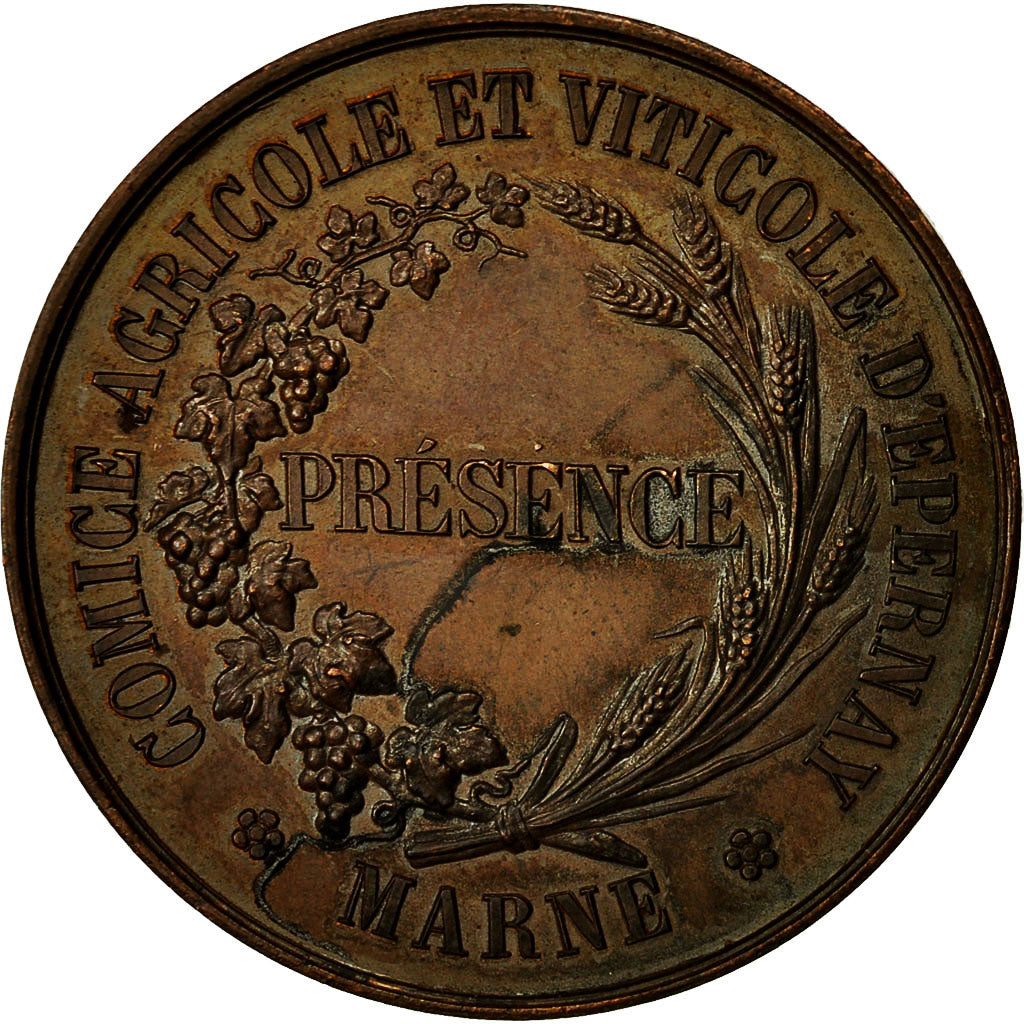 France, Médaille, Comice Agricole et Viticole d'Epernay, Marne, TTB+, Cuivre