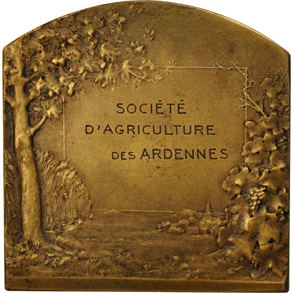 France, Medal, Société d'Agriculture des Ardennes, Dubois.H, AU(55-58), Bronze