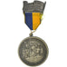 Allemagne, Médaille, Wandertag TSV Heimsheim, 1980, SUP, Silvered bronze