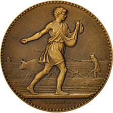 Frankreich, Medaille, Société des Agriculteurs du Nord, Lagrange, VZ, Bronze