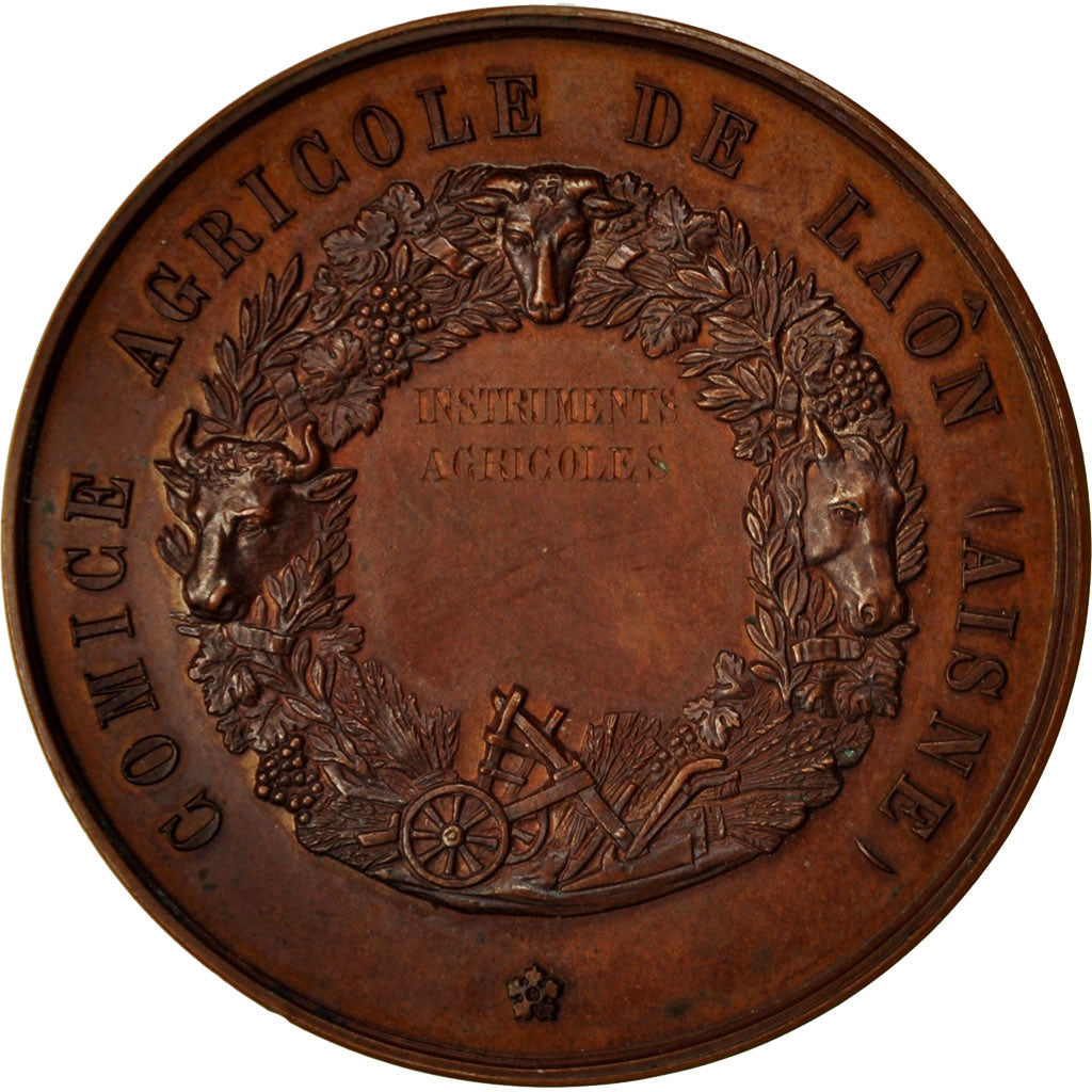 France, Medal, Comice Agricole de Laôn, Olivier de Serres, De Longueil