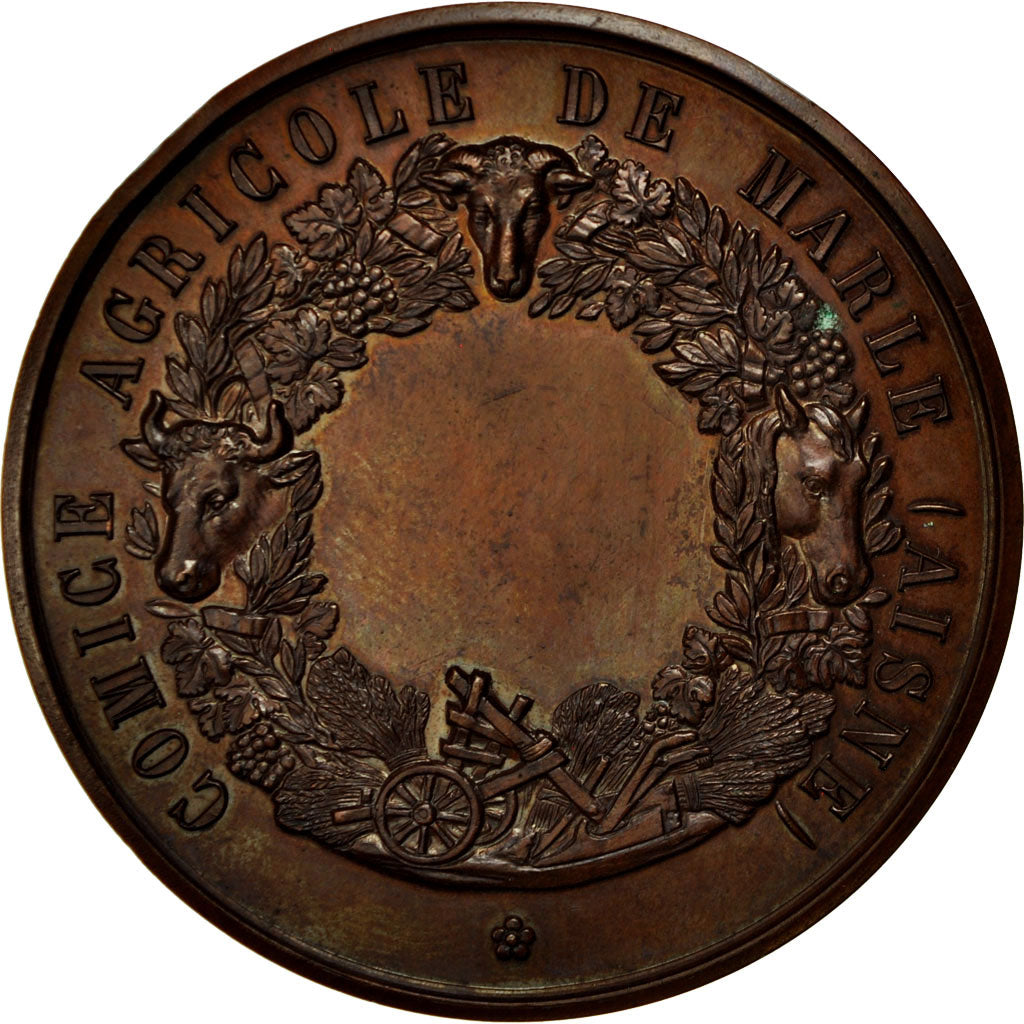 Francia, medaglia, Comice Agricole de Marle (Aisne), SPL, Rame