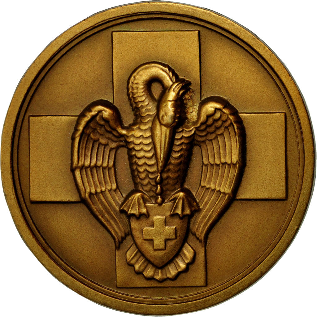 Belgium, Medal, Croix Rouge de Belgique, MS(63), Bronze