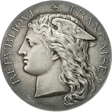 France, Medal, Concours Régional Agricole de Nice, 1901, Ponscarme, MS(60-62)