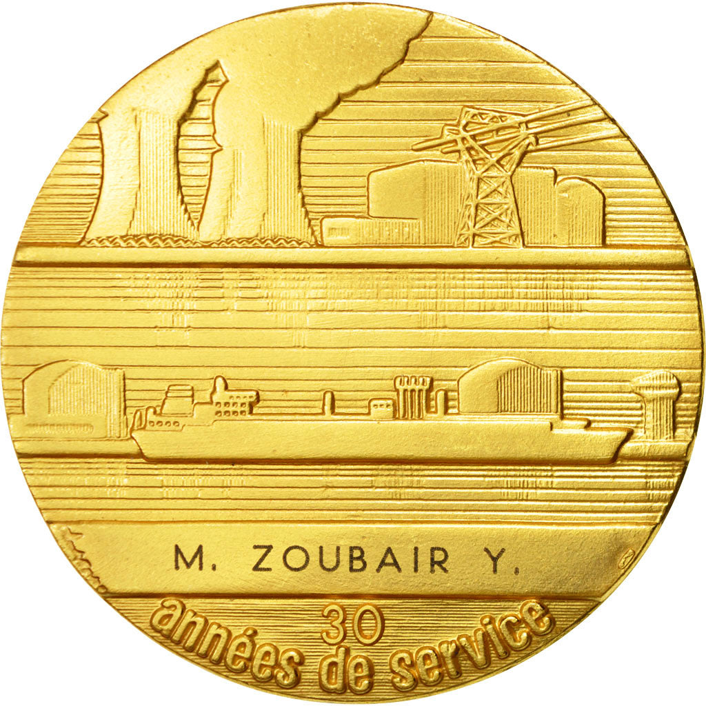Frankreich, Medaille, Electricité-Gaz de France, UNZ+, Gilt Bronze