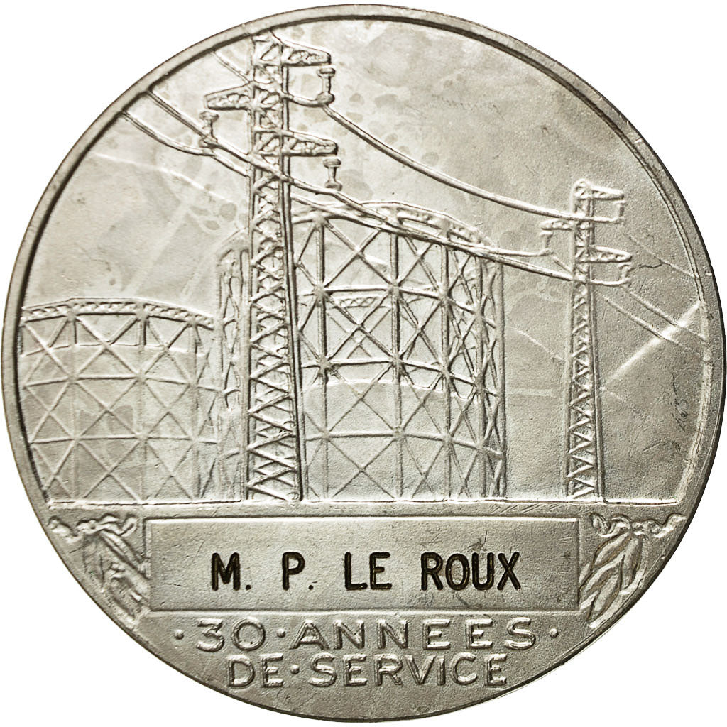 France, Medal, Électricité de France et gaz de France, Dropsy, MS(60-62)