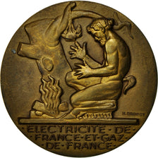 Frankrijk, Medaille, Électricité de France et gaz de France, Dropsy, ZF+