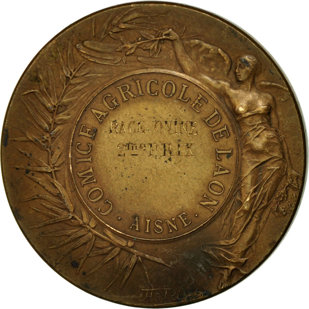 France, Médaille, Comice Agricole de Laon, Rives, TTB+, Bronze